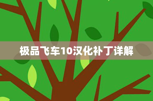极品飞车10汉化补丁详解图片