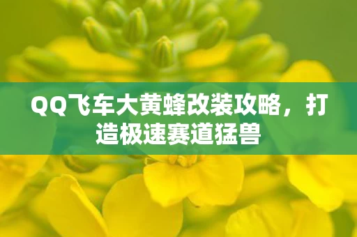 QQ飞车大黄蜂改装攻略图片