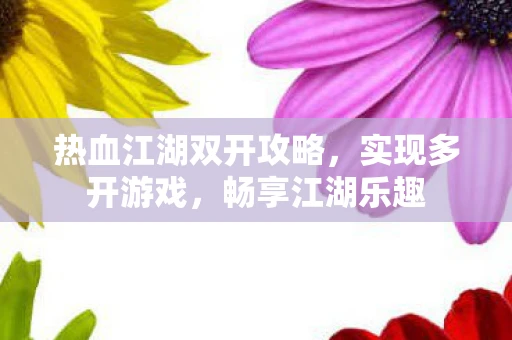 热血江湖双开攻略，实现多开游戏，畅享江湖乐趣