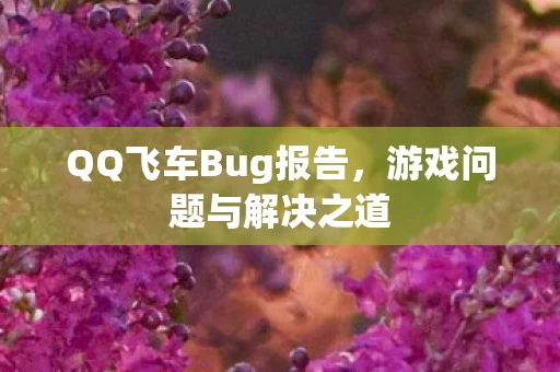 QQ飞车Bug报告图片