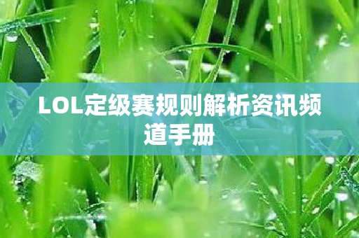 LOL定级赛规则解析资讯频道手册图片