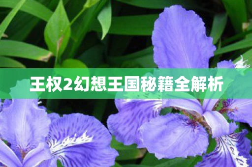王权2幻想王国秘籍全解析