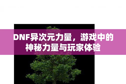 游戏中的神秘力量与玩家体验图片