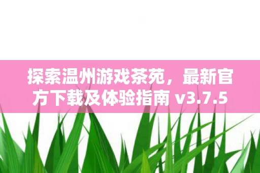 最新官方下载及体验指南 v3图片