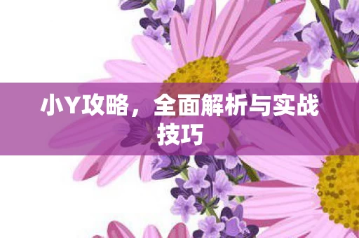 全面解析与实战技巧图片