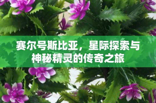 赛尔号斯比亚，星际探索与神秘精灵的传奇之旅
