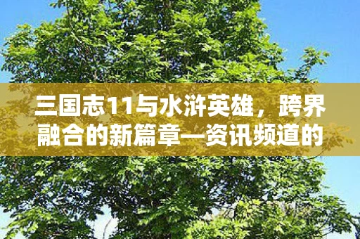 三国志11与水浒英雄图片