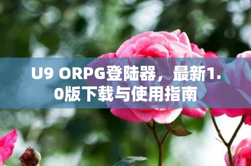 U9 ORPG登陆器图片