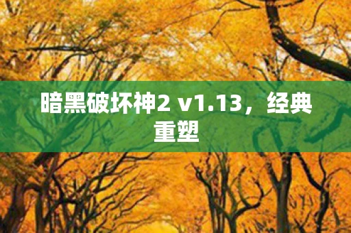 暗黑破坏神2 v1.13，经典重塑