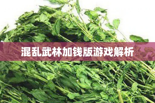 混乱武林加钱版游戏解析