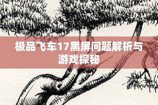 极品飞车17黑屏问题解析与游戏探秘