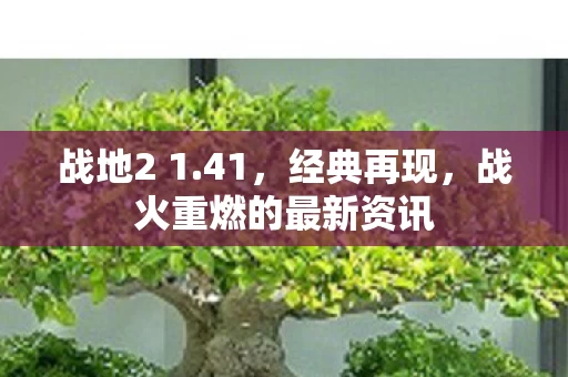 战火重燃的最新资讯图片