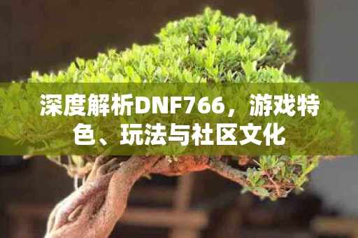 深度解析DNF766图片