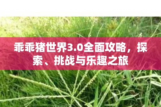 乖乖猪世界3.0全面攻略，探索、挑战与乐趣之旅