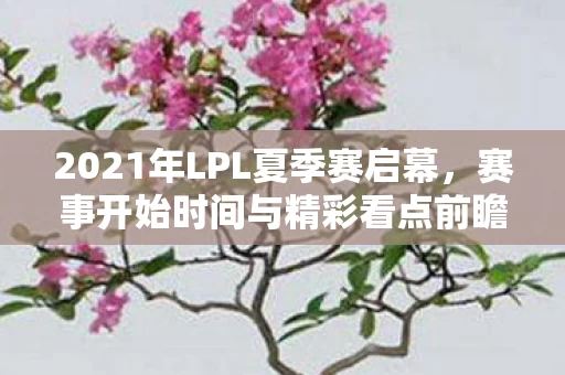 2021年LPL夏季赛启幕图片