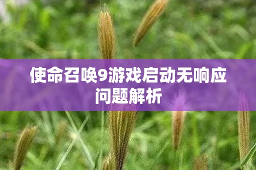 使命召唤9游戏启动无响应问题解析