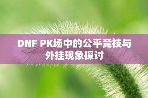 DNF PK场中的公平竞技与外挂现象探讨图片