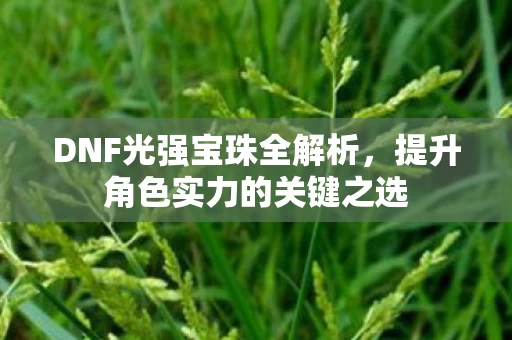 提升角色实力的关键之选图片
