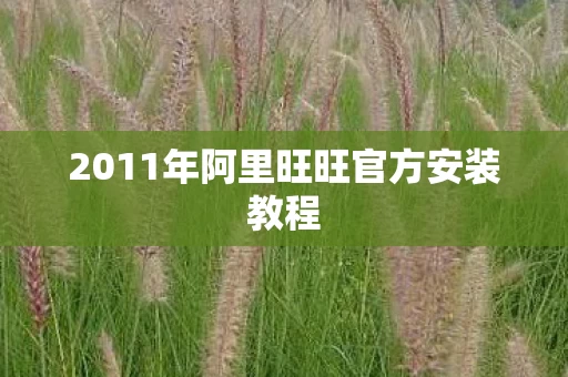 2011年阿里旺旺官方安装教程图片