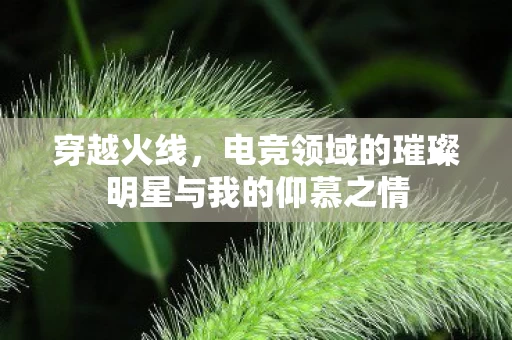 电竞领域的璀璨明星与我的仰慕之情图片