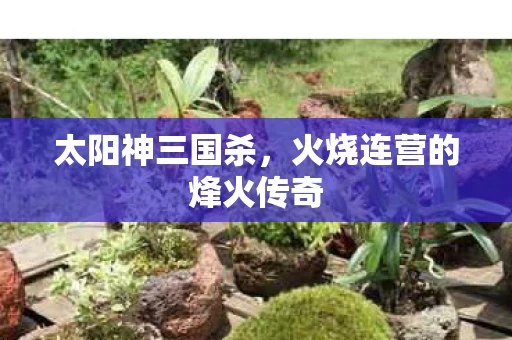 火烧连营的烽火传奇图片