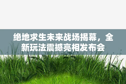 全新玩法震撼亮相发布会图片
