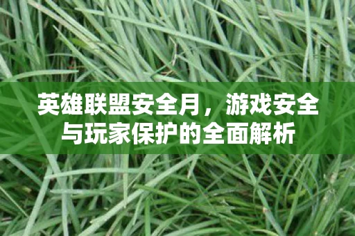 游戏安全与玩家保护的全面解析图片