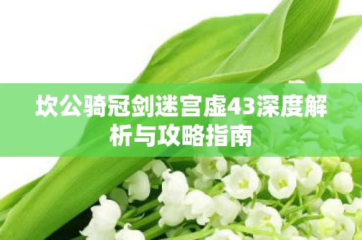 坎公骑冠剑迷宫虚43深度解析与攻略指南图片