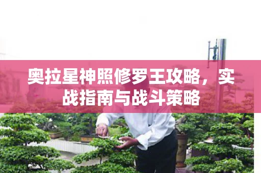 奥拉星神照修罗王攻略图片