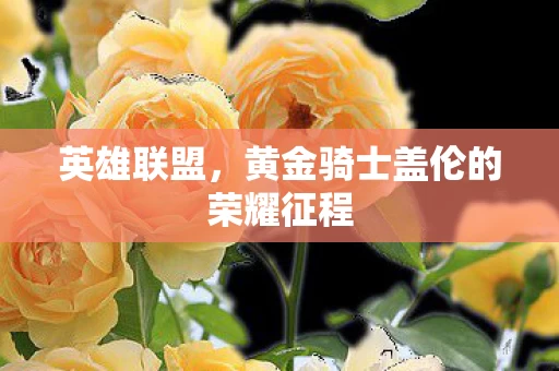 黄金骑士盖伦的荣耀征程图片