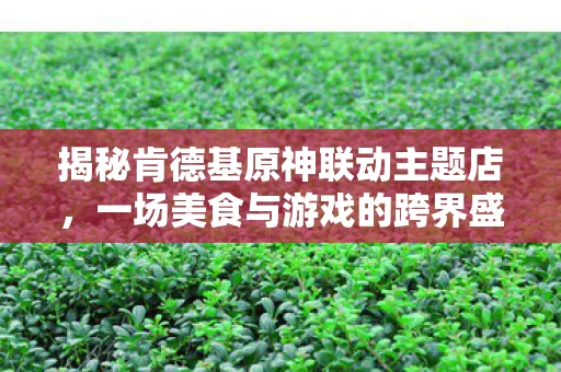 揭秘肯德基原神联动主题店图片