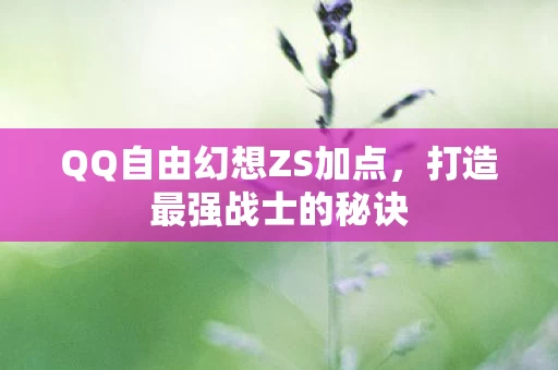 QQ自由幻想ZS加点图片