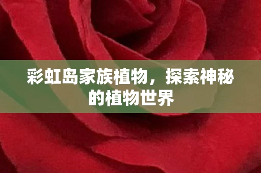 探索神秘的植物世界图片