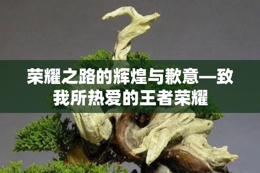 荣耀之路的辉煌与歉意图片