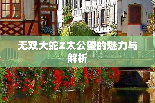 无双大蛇Z太公望的魅力与解析图片
