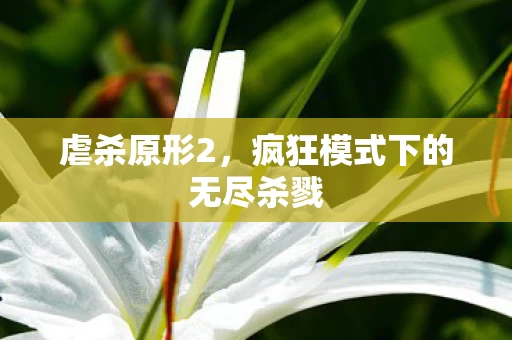 疯狂模式下的无尽杀戮图片