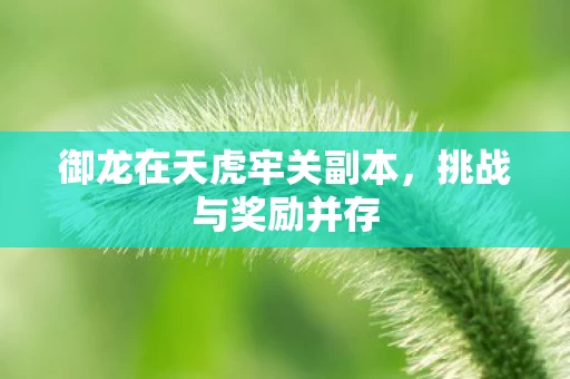 御龙在天虎牢关副本图片