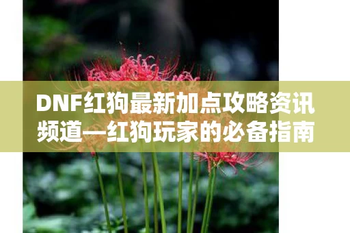 DNF红狗最新加点攻略资讯频道图片