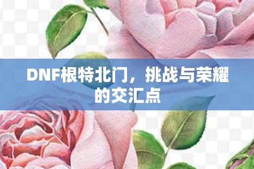 挑战与荣耀的交汇点图片