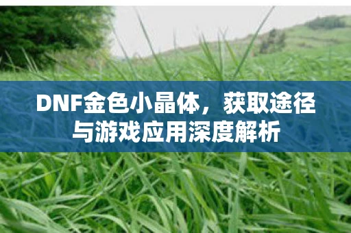 获取途径与游戏应用深度解析图片
