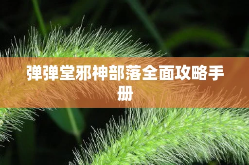 弹弹堂邪神部落全面攻略手册图片