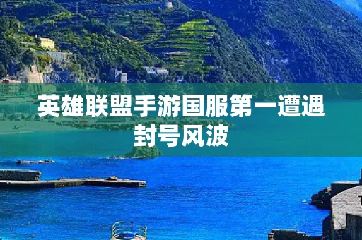 英雄联盟手游国服第一遭遇封号风波图片