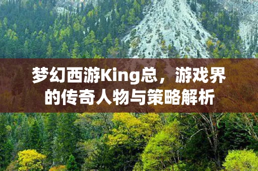 游戏界的传奇人物与策略解析图片