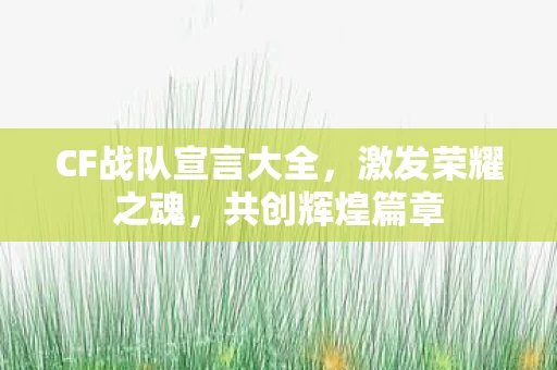 CF战队宣言大全图片