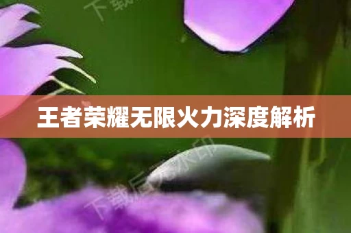 王者荣耀无限火力深度解析图片
