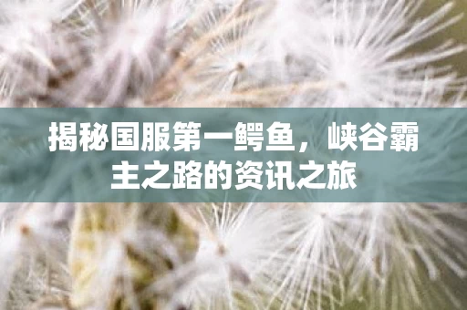 峡谷霸主之路的资讯之旅图片