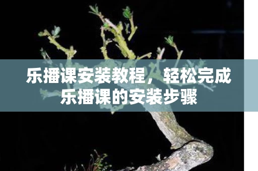 轻松完成乐播课的安装步骤图片