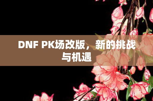 DNF PK场改版图片