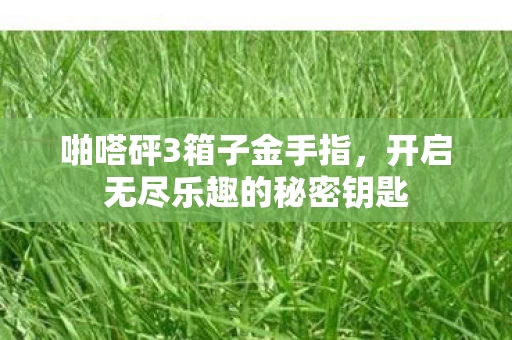 开启无尽乐趣的秘密钥匙图片