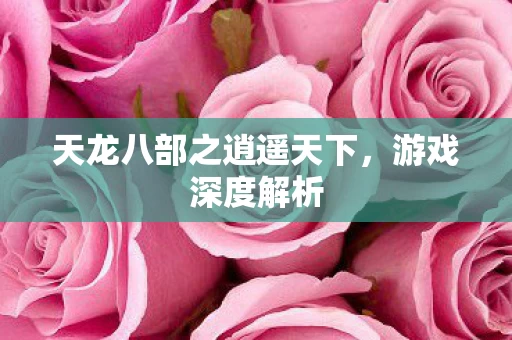 天龙八部之逍遥天下图片